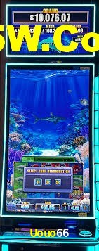 Crash Games Strategies Uouo66